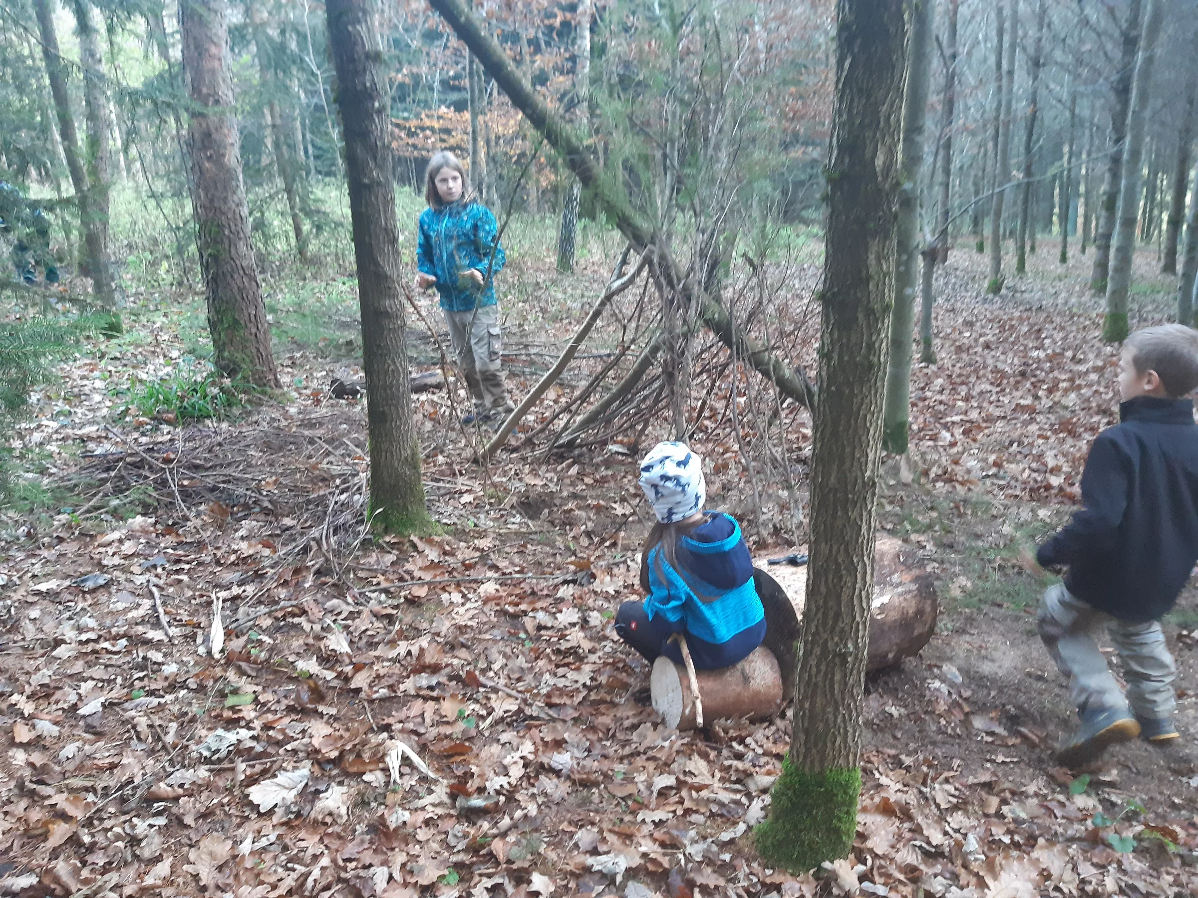 Kinder bauen im Herbstwald ein Tipi aus Ästen