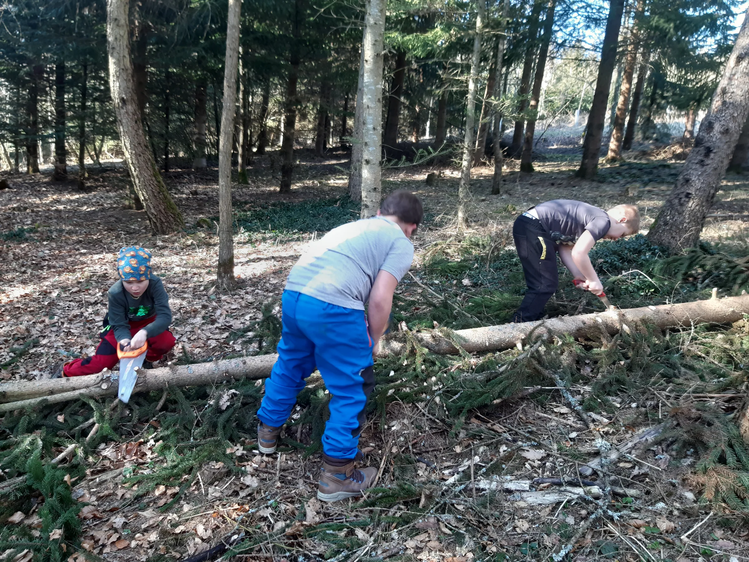 Kinder tragen und zersägen Äste im Wald