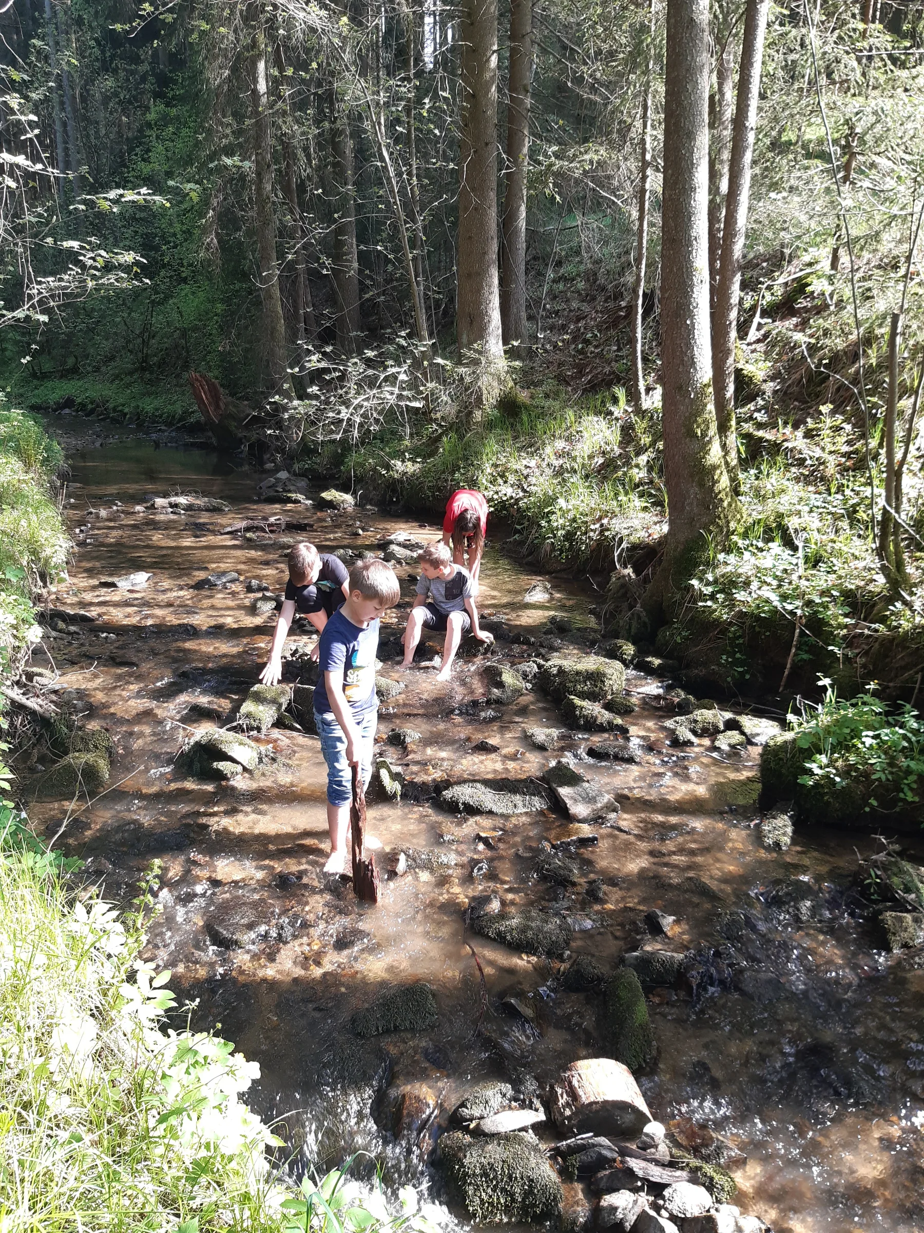 Kinder balancieren über die Steine im seichten Bach