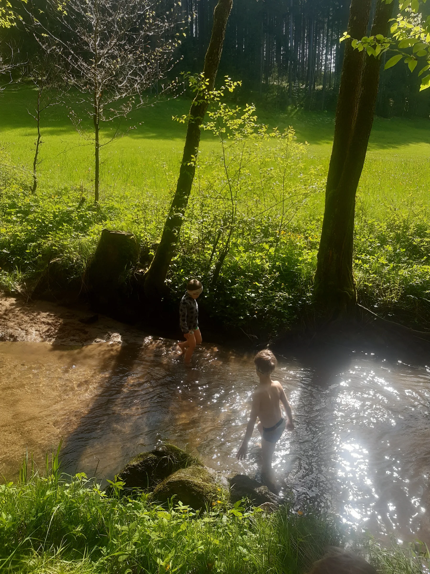 Kinder waten an einem sonnigen Tag durch den Bach