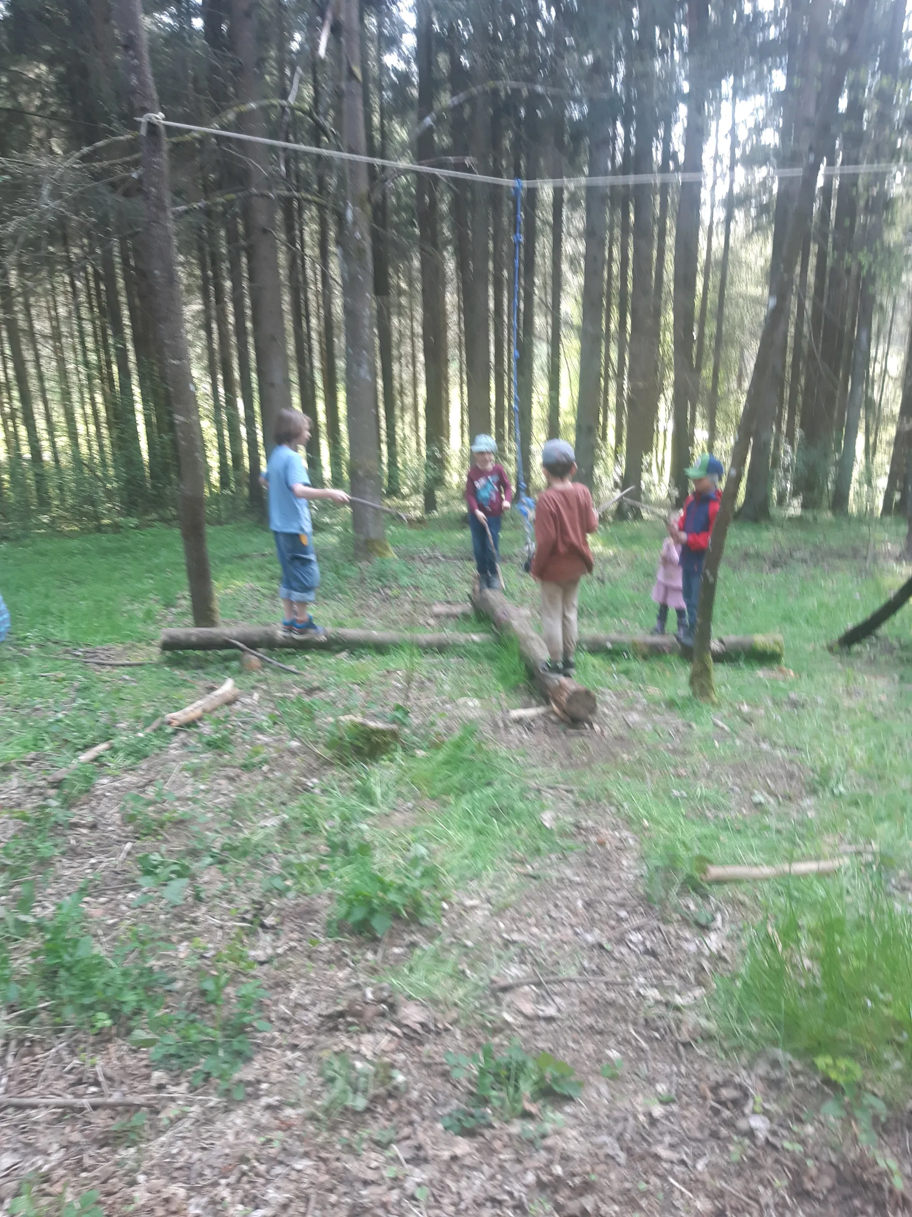 Kinder balancieren auf Baumstämmen im Wald