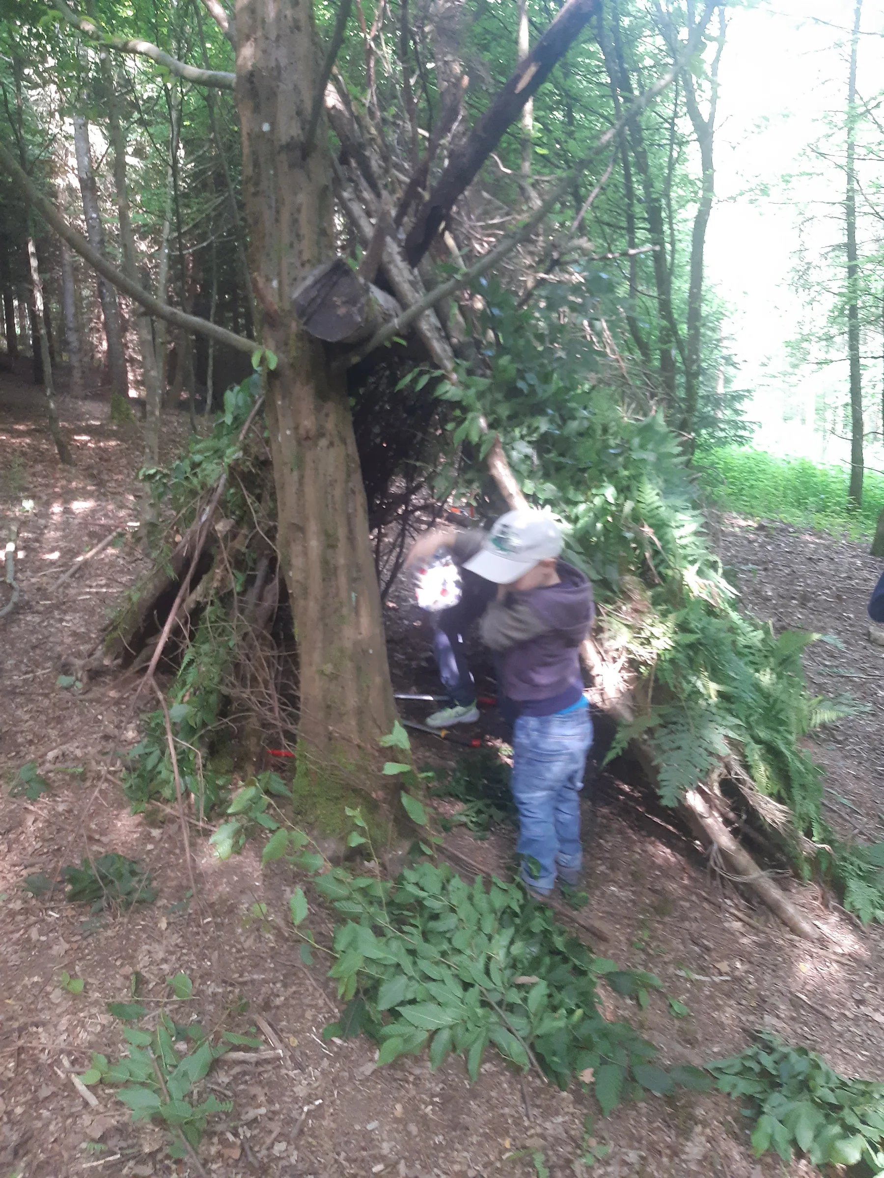Ein Kind baut an einer Hütte aus Ästen und Farn