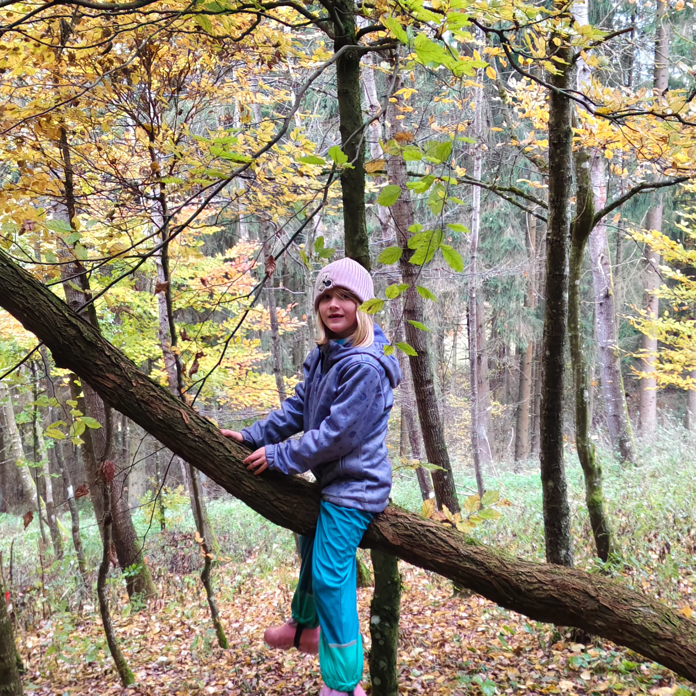 Ein Mädchen klettert auf einen schrägen Baumstamm im Herbstwald