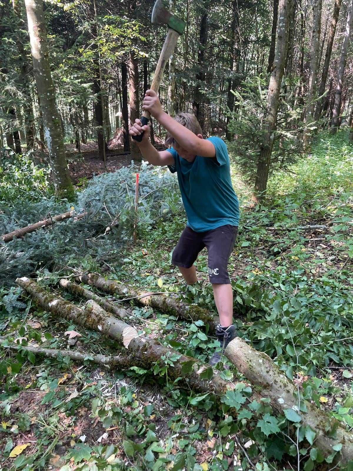 Feuerholz wird mit der Axt gespalten