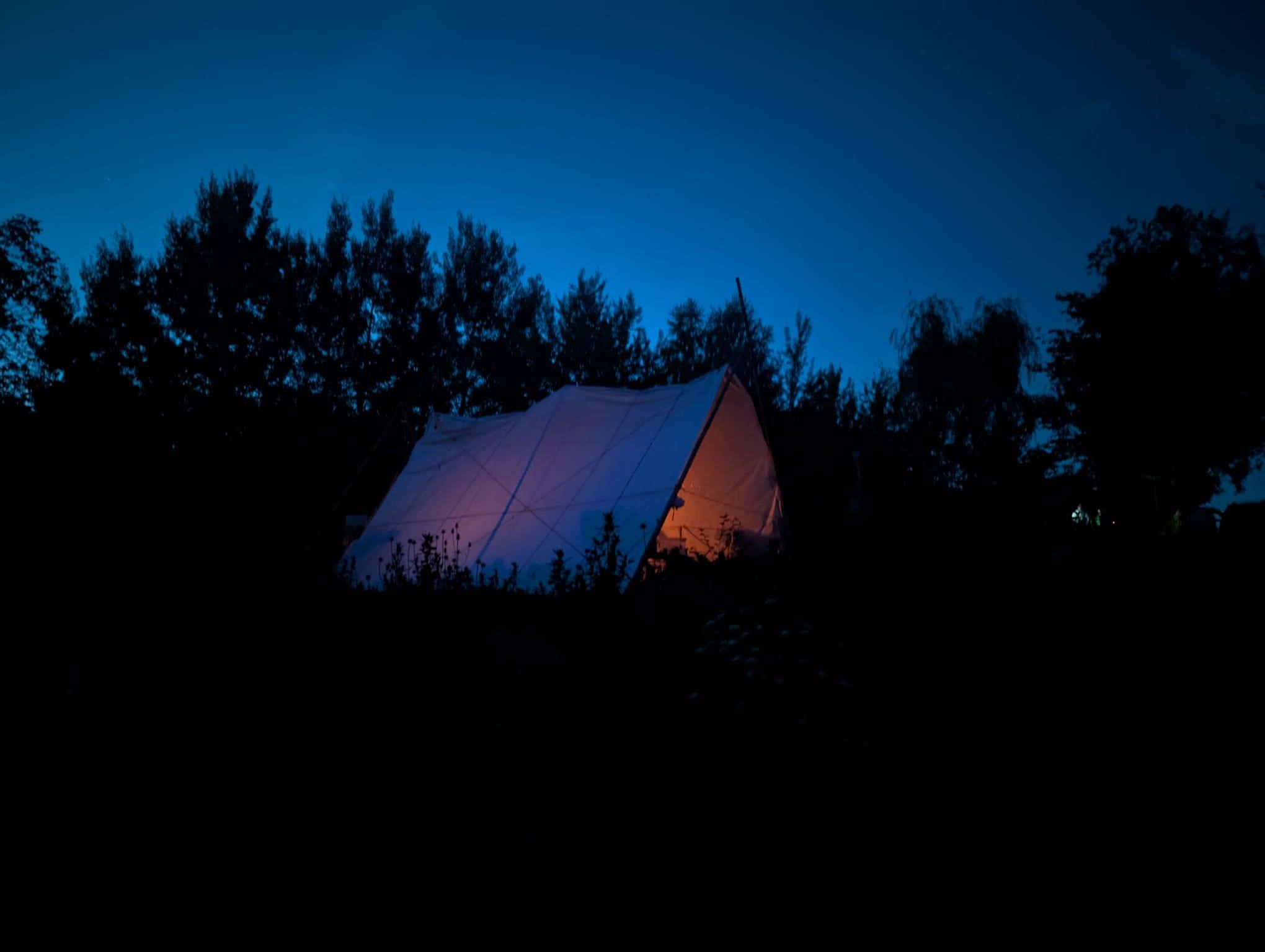 Das Tarp leuchtet in der blauen Stunde zwischen den Bäumen