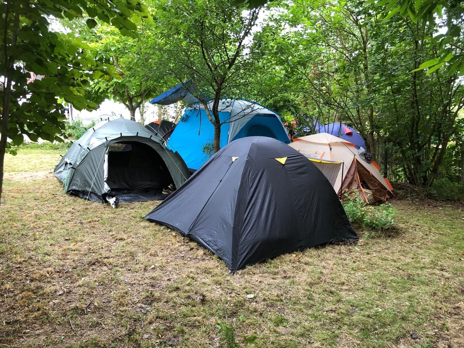 Bunte Zelte auf der Wiese am Waldrand